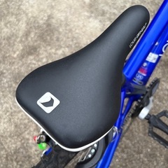 ルイガノ　子供用自転車20インチ、2019年モデルの画像