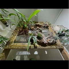 額縁　金色　の画像