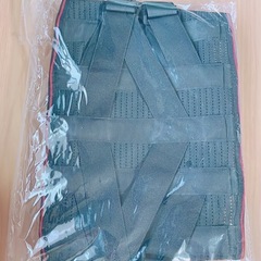 【価格相談🉑】EXプレミアムハード腰サポーター(新品未開封)の画像