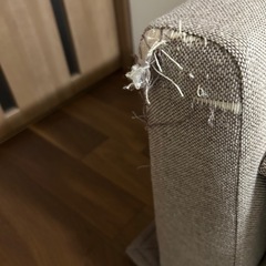 無料！ 至急！ニトリ1人用ソファの画像