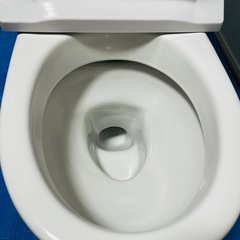 【未使用】INAX LIXIL・リクシル トイレ　大便器 手洗なし 寒冷地・水抜方式 床排水　一般洋風 　の画像