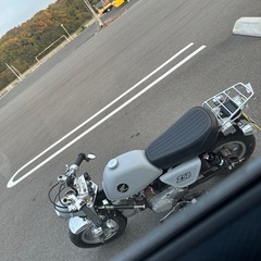モンキー z50jの画像
