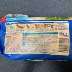 ペット用オムツ小型犬Sサイズ(男の子用)　の画像