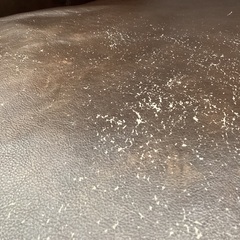 TIMELESS COMFORT ORIGINAL 2人掛けソファー ブラウン GILの画像