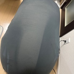 ビーズクッション ビーンズマックスの画像