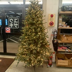 展示品　屋内用　228cmクリスマスツリーの画像