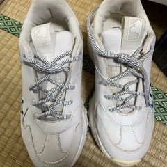 MLB韓国スニーカー25cmの画像