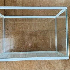 GEX小型水槽の画像