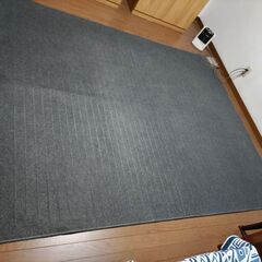 ホットカーペット：ナショナル　３畳用　本体のみの画像