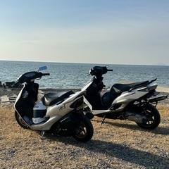 ライブディオzx（af35）の画像