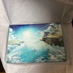 ゼルダの伝説ティアーズオブザキングダム限定品の画像