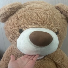 くまのぬいぐるみの画像