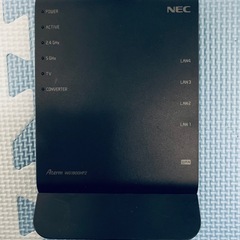 Aterm WG1900HP PA-WG1900HPの画像