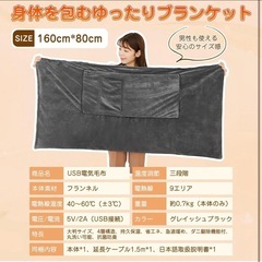 電気毛布 電気ブランケット 6in1 ひざ掛け 大判 160×80CM ダニ予防の画像
