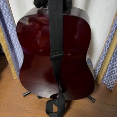 SX DG1K/NAT  アコギの画像