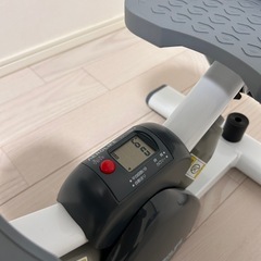 値下げ中　エアロライフ　サイドステッパー の画像