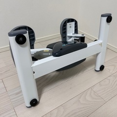 値下げ中　エアロライフ　サイドステッパー の画像