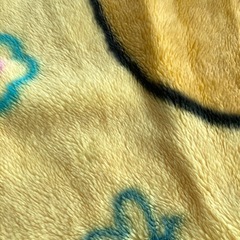 無料 プーさん　毛布の画像