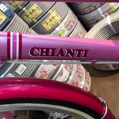 アサヒ キャンティ 子ども用自転車 22インチ 【11118295】の画像