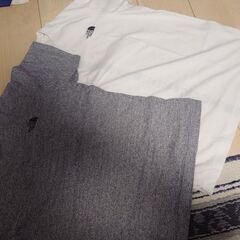 ザ・ノースフェイス Tシャツ2点 Sサイズの画像