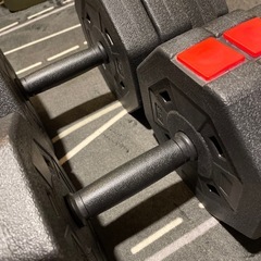 Wout 20kgダンベル2個セット(バラ売り可)の画像