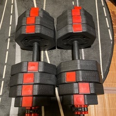 Wout 20kgダンベル2個セット(バラ売り可)の画像