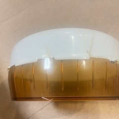 ハリネズミ　飼育セットの画像