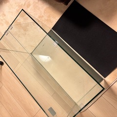  グラステリア６００水槽 の画像