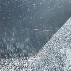 MITSUBISHI ノンフロン冷凍冷蔵庫  MR-P15Z-B1の画像