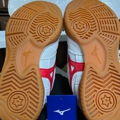 ミズノ・室内用の画像