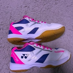 ジュニアバドミントンシューズの画像