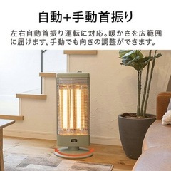 アラジン 遠赤グラファイトヒーター グリーン AEH-G1000A-Gの画像