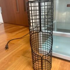 手渡し限定　三晃商会　パンテオン　ホワイト　WH4045 フクロモモンガ　鳥用の画像