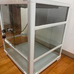 手渡し限定　三晃商会　パンテオン　ホワイト　WH4045 フクロモモンガ　鳥用の画像