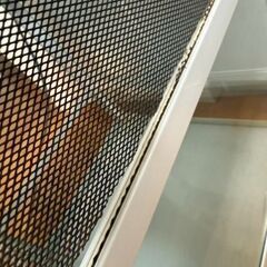 手渡し限定　三晃商会　パンテオン　ホワイト　WH4045 フクロモモンガ　鳥用の画像