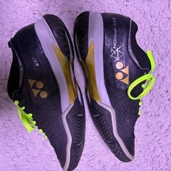 バドミントンシューズの画像