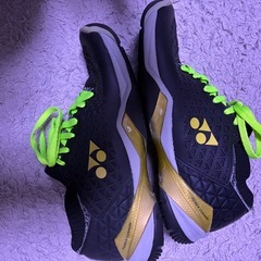 バドミントンシューズの画像