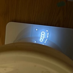 エッグペイント 鉛白　残り 5〜6kg 内装 塗装材 卵殻 日本エムテクス    ローラー、延長ハンドル付きの画像