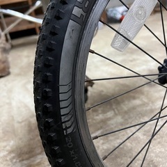 TREK マウンテンバイク20インチ　MT60 子供用の画像