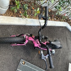 Trekキッズ自転車の画像