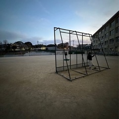 ソフトボール、野球