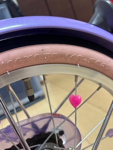 プリンセス・ソフィアデザイン16インチ