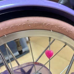 プリンセス・ソフィアデザイン16インチの画像