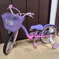 プリンセス・ソフィアデザイン16インチの画像