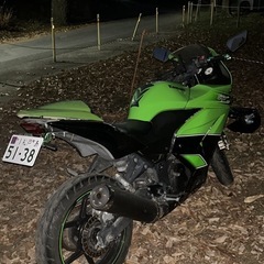 Kawasaki Ninja250rカスタム多数！の画像