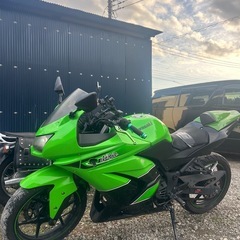 Kawasaki Ninja250rカスタム多数！の画像