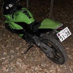 Kawasaki Ninja250rカスタム多数！の画像