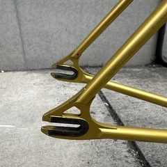 Ganwell njsフレーム ゴールドの画像