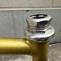 Ganwell njsフレーム ゴールドの画像