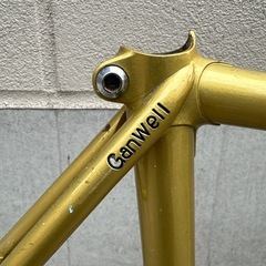 Ganwell njsフレーム ゴールドの画像
